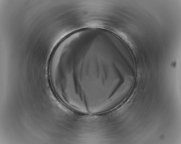 X0000089961331200707271853