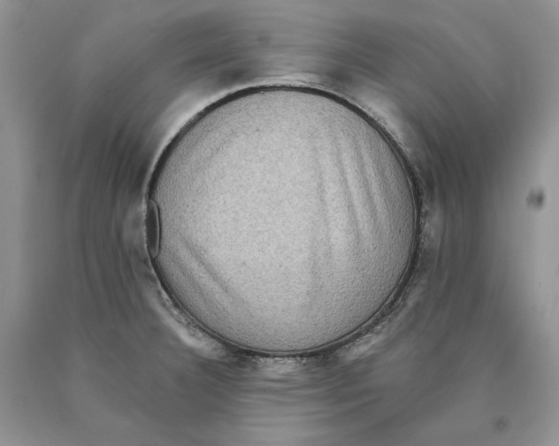 X0000089961332200707271853