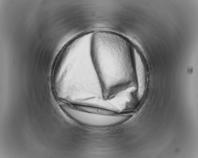 X0000089961333200707271853