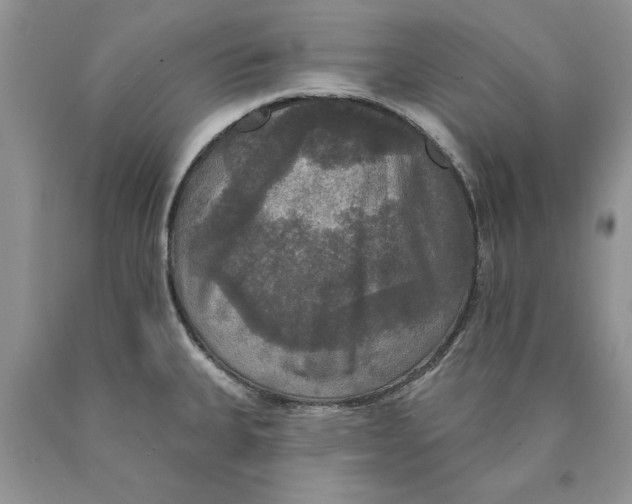 X0000089961335200707271853