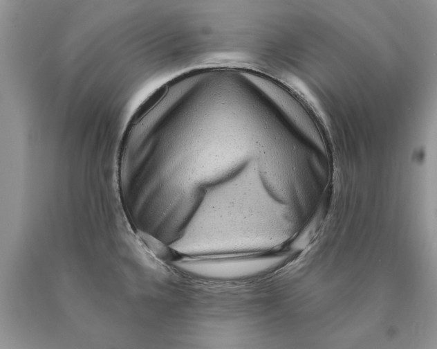 X0000089961336200707271853