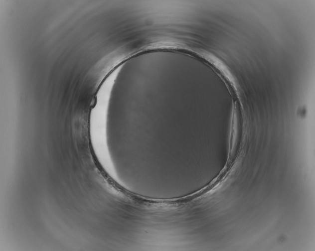 X0000089961337200707271853