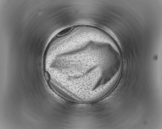 X0000089961339200707271853