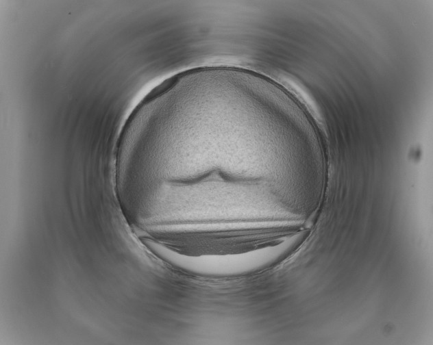 X0000089961340200707271853