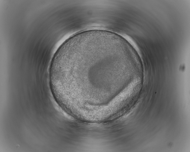 X0000089961341200707271853