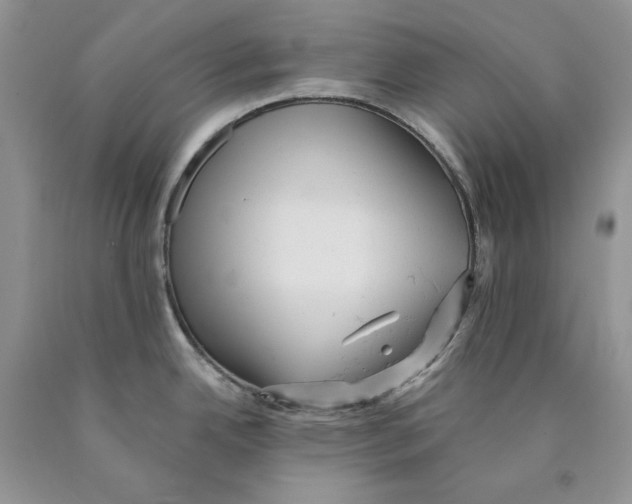 X0000089961342200707271853