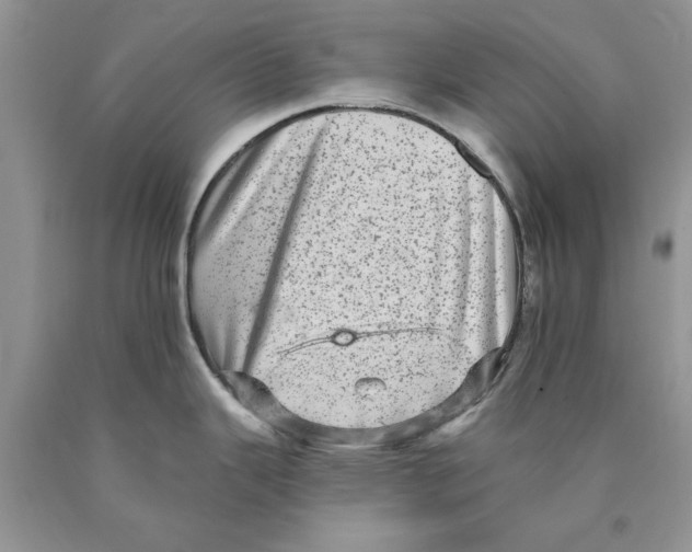 X0000089961343200707271853