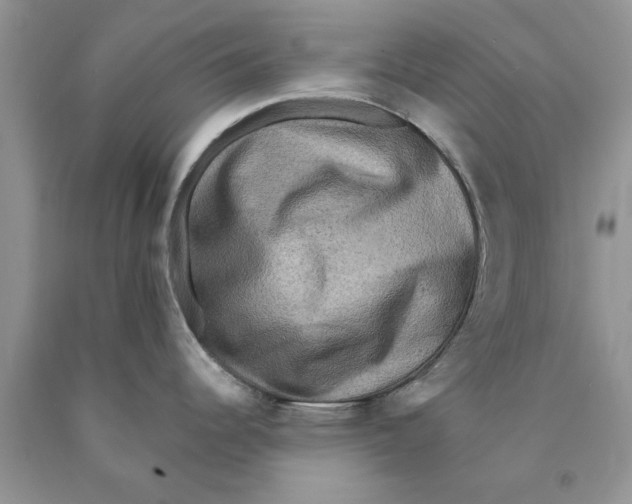 X0000089961344200707271853