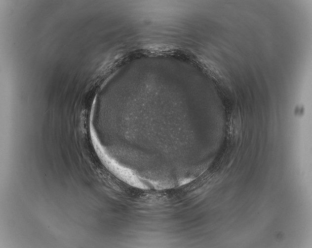 X0000089961346200707271853