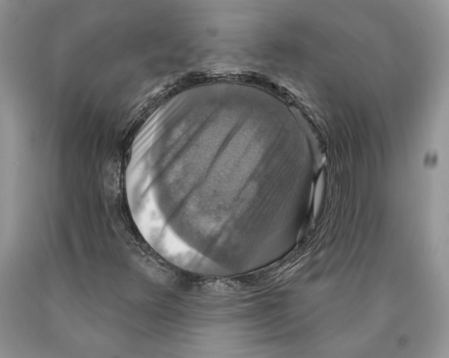 X0000089961348200707271853