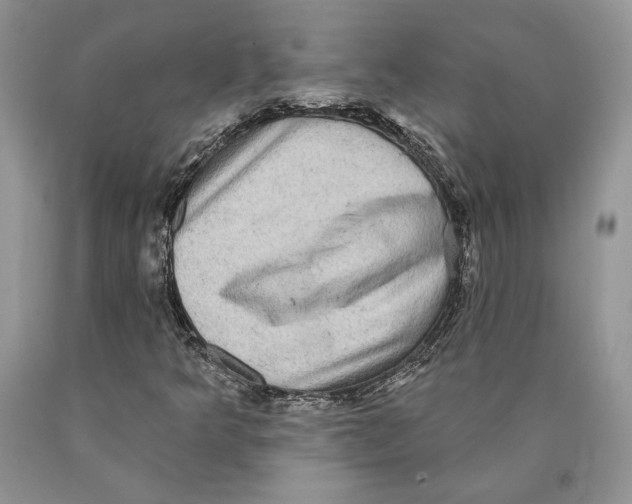 X0000089961349200707271853