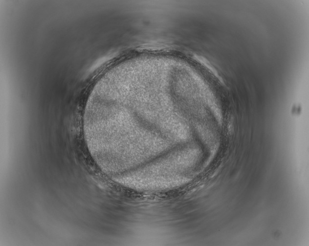 X0000089961350200707271853