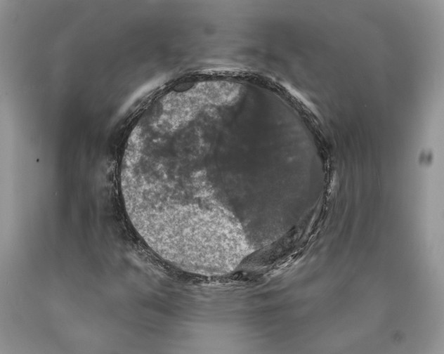 X0000089961351200707271853