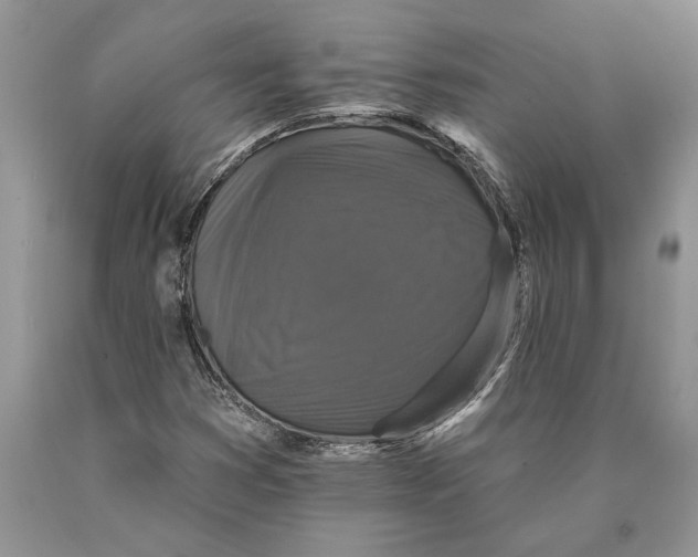 X0000089961353200707271852