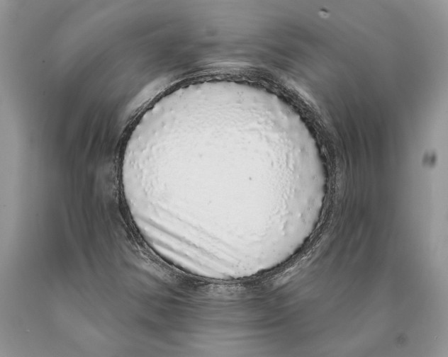 X0000089961354200707271852