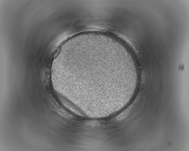 X0000089961355200707271852