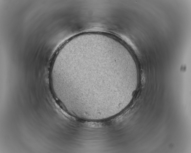 X0000089961356200707271852