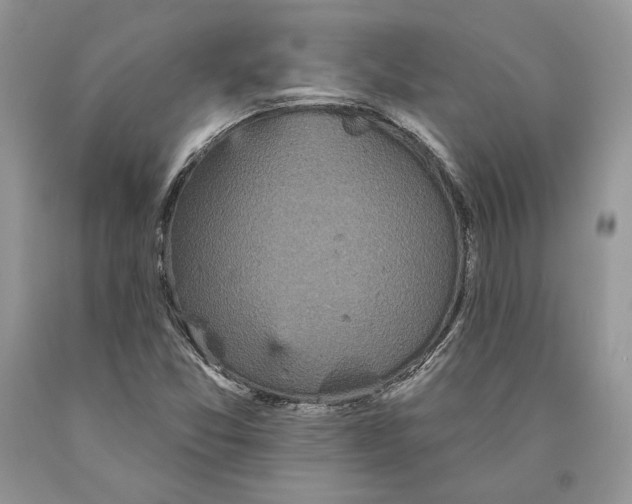 X0000089961357200707271852