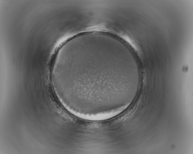 X0000089961358200707271852