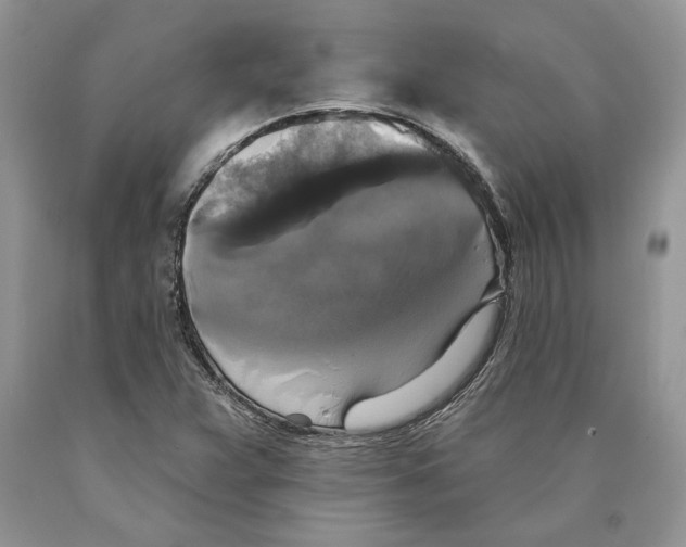 X0000089961359200707271852