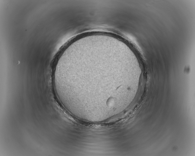 X0000089961360200707271852