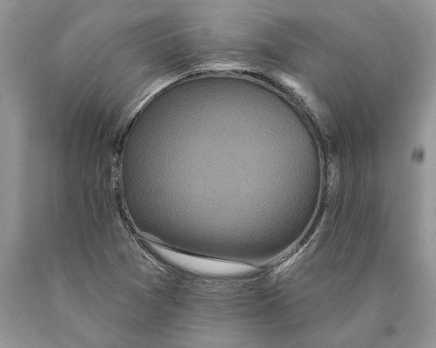 X0000089961361200707271852