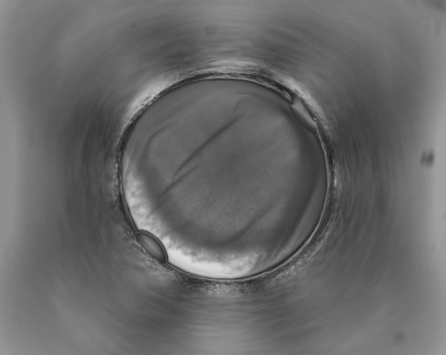 X0000089961362200707271852