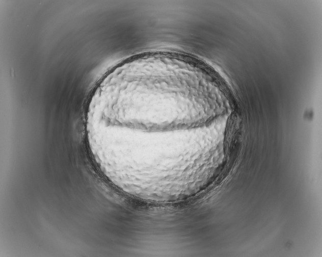 X0000089961363200707271852