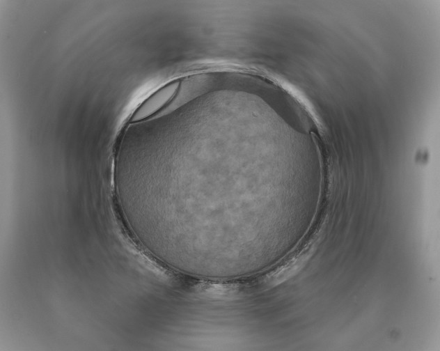 X0000089961365200707271852