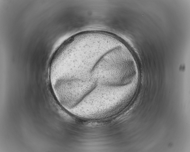 X0000089961366200707271852