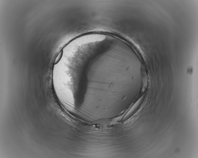 X0000089961367200707271852