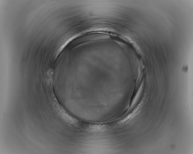 X0000089961369200707271852