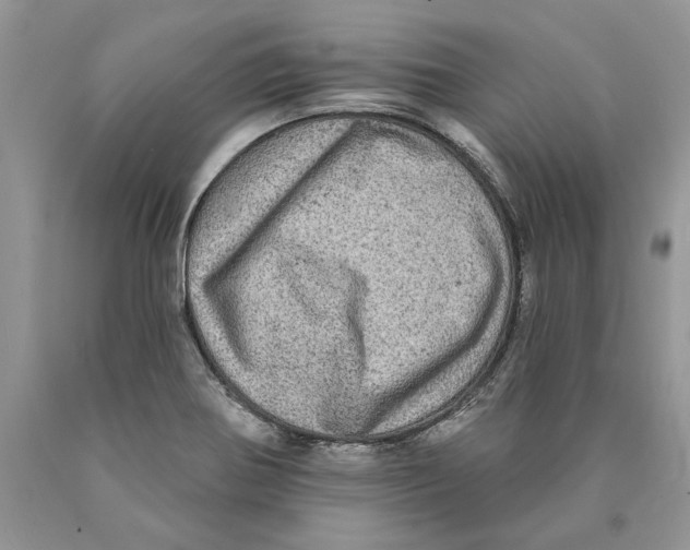 X0000089961370200707271852