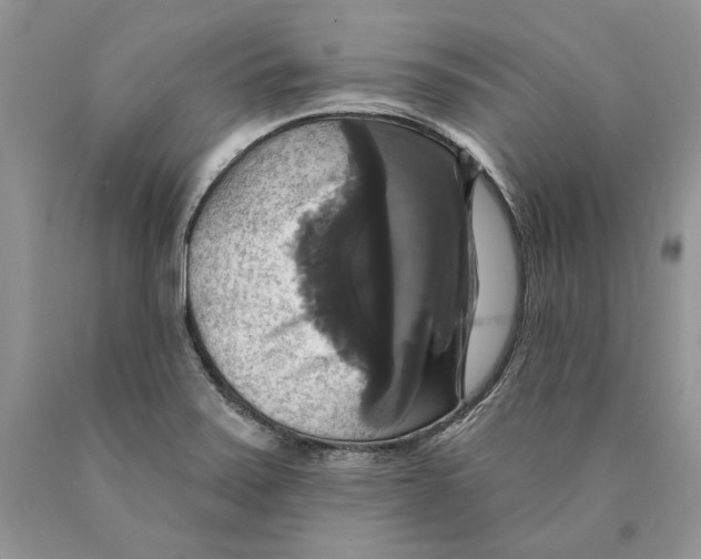 X0000089961371200707271852