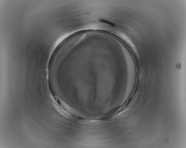 X0000089961372200707271852