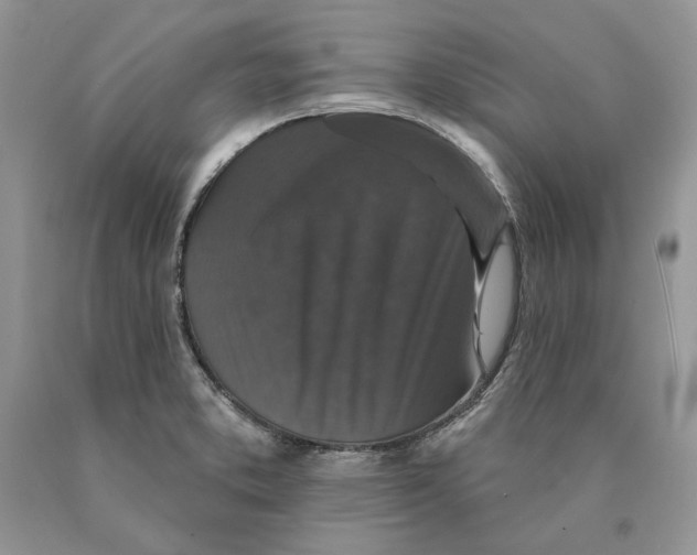 X0000089961373200707271852