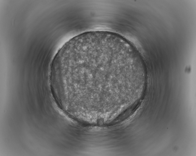 X0000089961374200707271852