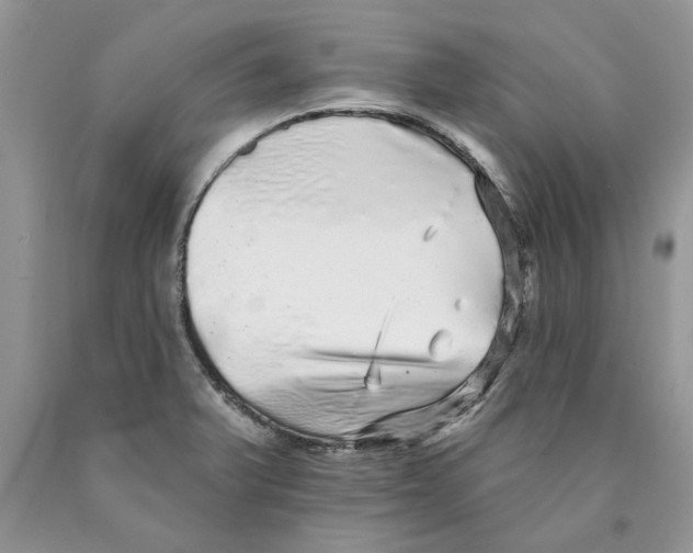 X0000089961375200707271852