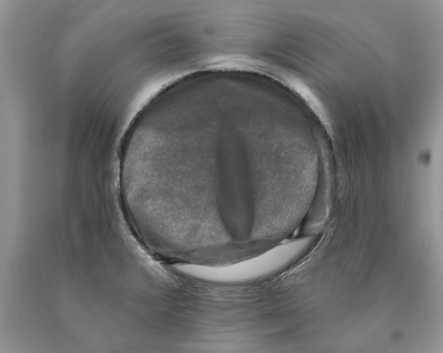 X0000089961376200707271852