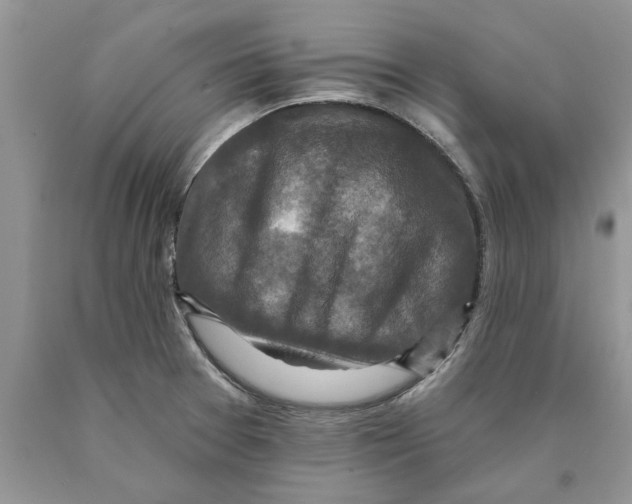 X0000089961377200707271852