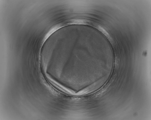 X0000089961378200707271852