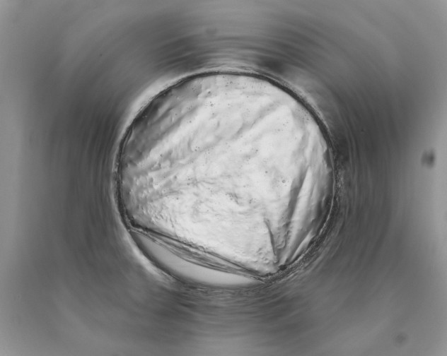 X0000089961379200707271852