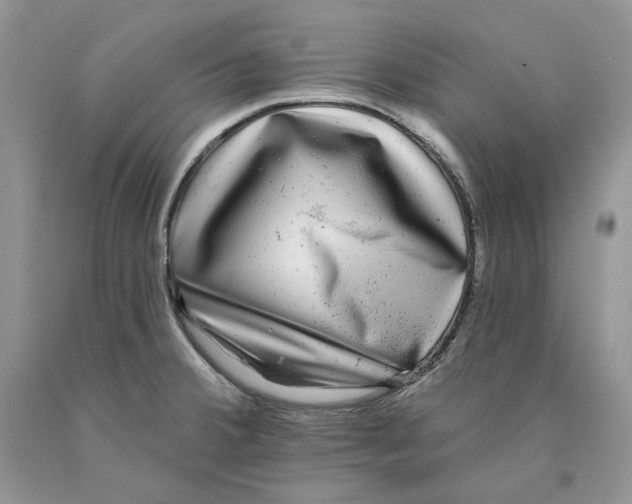 X0000089961380200707271852