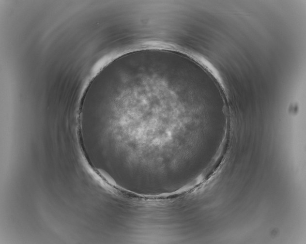 X0000089961381200707271852