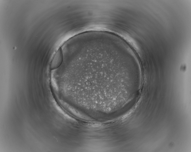 X0000089961382200707271852