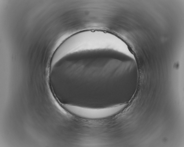 X0000089961383200707271852