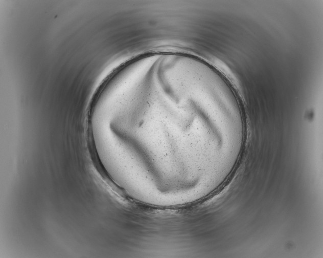 X0000089961384200707271852