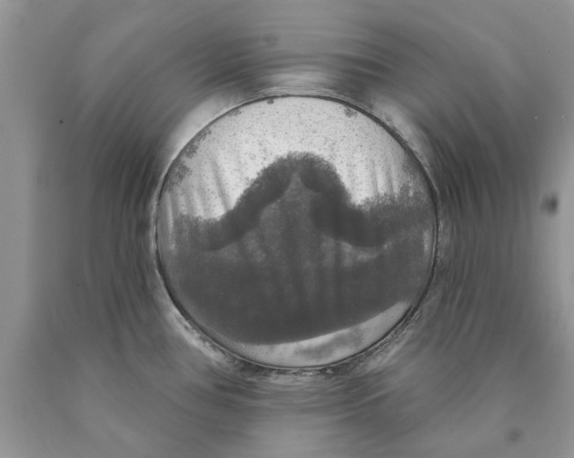 X0000089961386200707271852