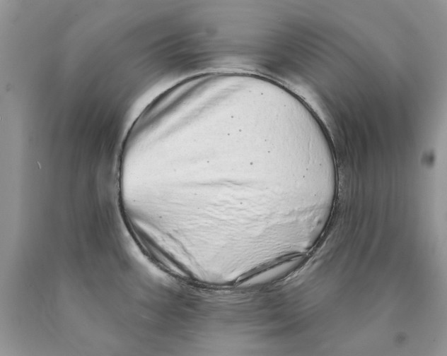 X0000089961387200707271852