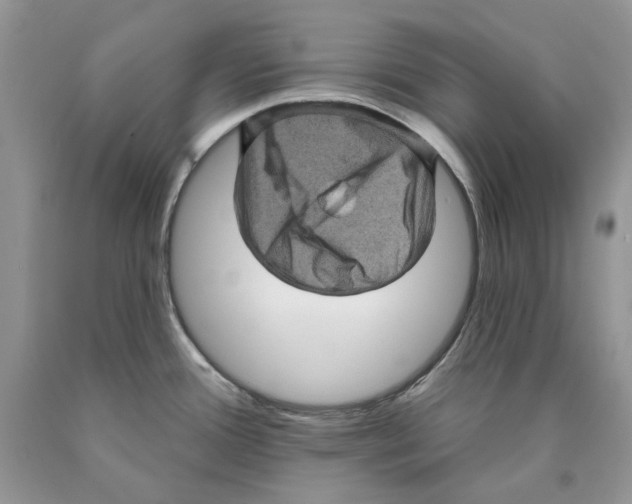 X0000089961388200707271852